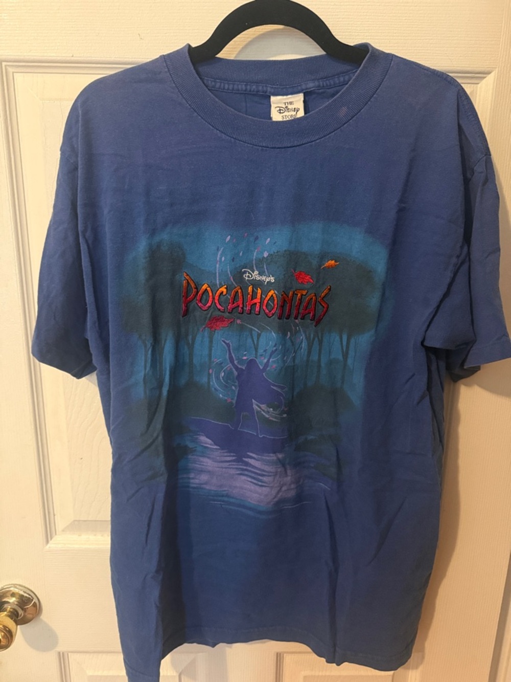 Vintage 1995 Disney Store Pocahontas Tee - Adult L